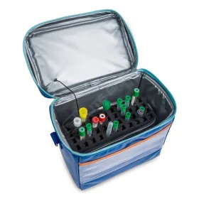 Ampularium Row's XL EB04.008