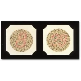 Tablica Ishihary - 24 tablice (Test Ishihary, Tablica Pseudoizochromatyczna)