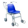 Waga medyczna krzesełkowa Radwag C315.K.250.C-3 