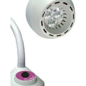 Lampa diagnostyczna ORDISI FLH-2 LED