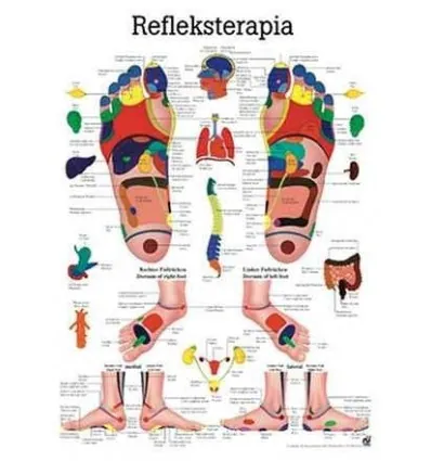Tablica anatomiczna "Fizjoterapia VII" Plansza anatomiczna