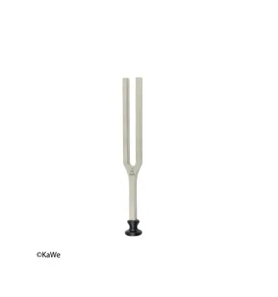 Stroik laryngologiczny typ Lucae c1 256 Hz